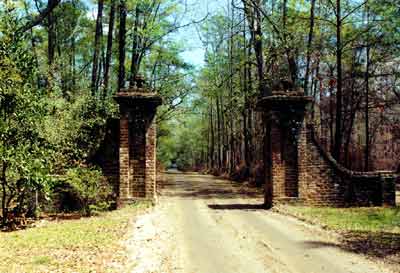 Mansfield Plantation Gate - Georgetown County, South Carolina