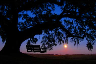 Mansfield Plantation, Moon, South Carolina SC