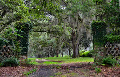 Milldam Plantation Entrance 2014 - Georgetown County, South Carolina