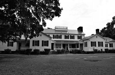 Milldam Plantation 2014 - Georgetown County, South Carolina
