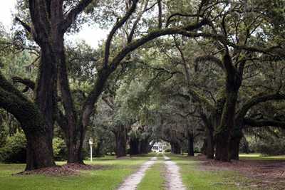 Nightingale Hall Drive 2014 - Georgetown County, South Carolina