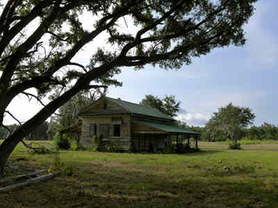 Peru Plantation Outbuilding 2014 - Georgetown County, South Carolina