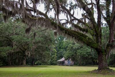 Ravenel Plantation 2015 - Georgetown County, South Carolina