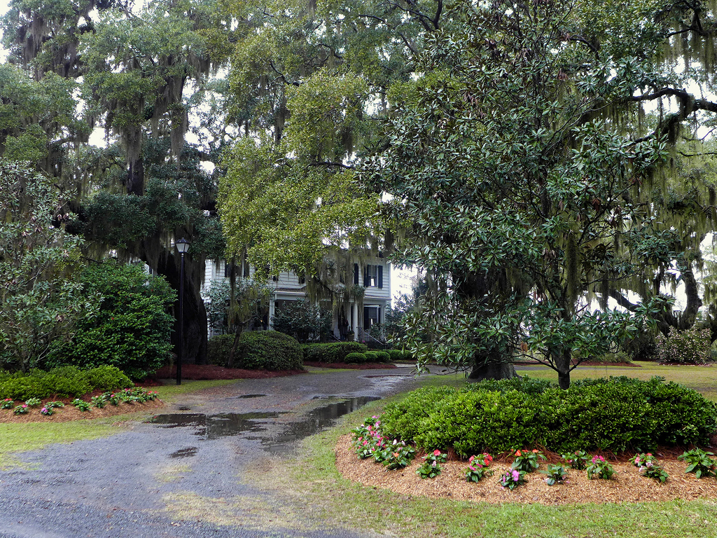 Waverly Plantation 2014 - Georgetown County, South Carolina