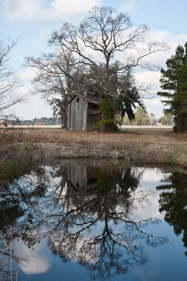 Bucksport Barn 2010 - Horry County, South Carolina