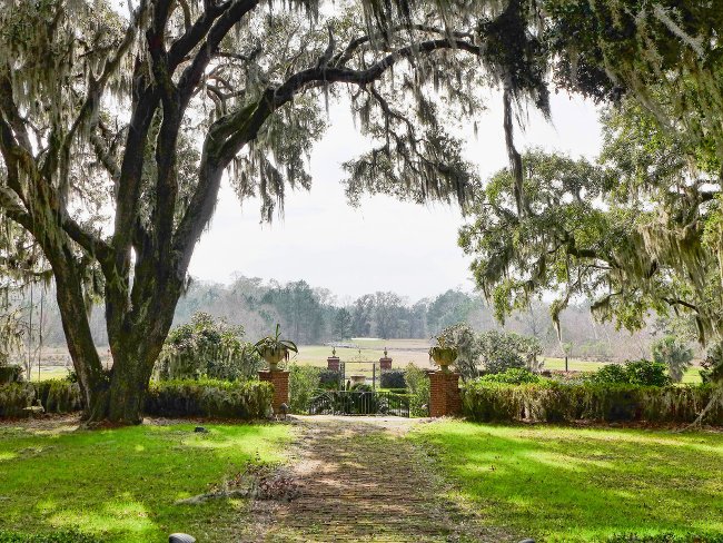 Delta Plantation Grounds 2017 - Jasper County, South Carolina