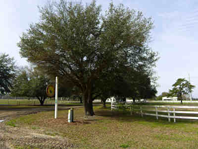 Turkey Hill Plantation 2014 - Jasper County, South Carolina