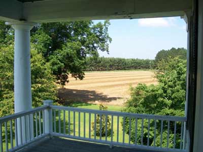 Josey Plantation Field 2011 - Lee County, South Carolina