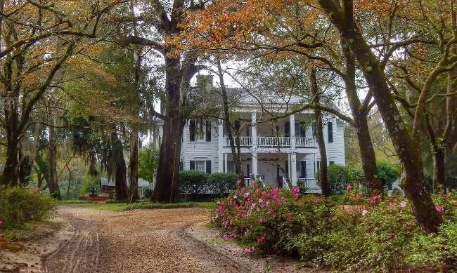 Tanglewood Plantation 2015 - Lee County, South Carolina