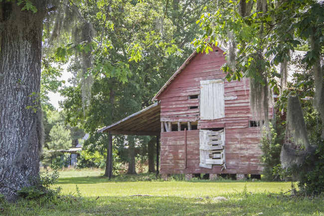 Rocks Plantation Barn 2016 - Orangeburg County, South Carolina