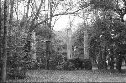 Millwood Plantation 1970 - Richland County, South Carolina