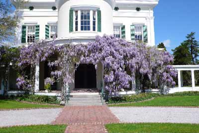 Millford Plantation 2009 - Sumter County, South Carolina