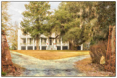 Ruins Plantation 2015 - Sumter County, South Carolina