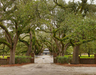 Longlands Plantation Plantation 2015 - Willisamsburg County, South Carolina