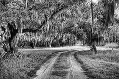 Coosaw Plantation Road 2010 - Beaufort County, South Carolina