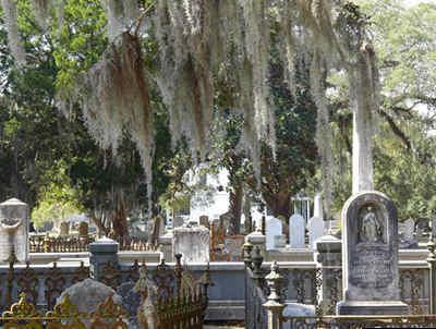 Magnolia Umbra Plantation Cemetery 2014 - Charleston County, South Carolina