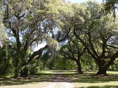 Mullet Hall Plantation - Charleston County, South Carolina