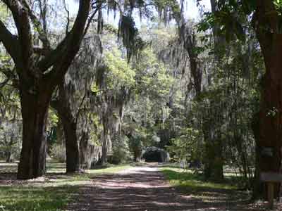 Seven Oaks Plantation - Charleston County, South Carolina