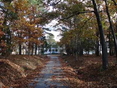 Calatopia Plantation Driveway - Fairfield County, South Carolina
