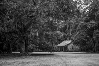 Ravenel Plantation 2015 - Georgetown County, South Carolina