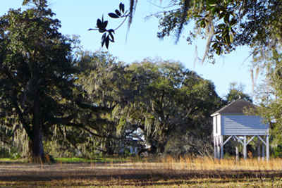 Woodside Plantation 2013 - Georgetown County, South Carolina