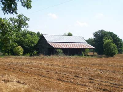 Josey Plantation Cotton Barn 2011 - Lee County, South Carolina